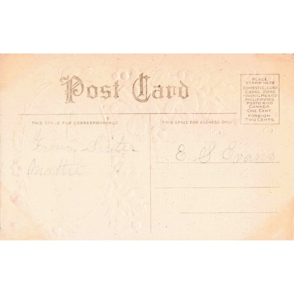 Vintage Embossed Christmas Postcard Winter Scene Holly Pink Flowers Mattie VG